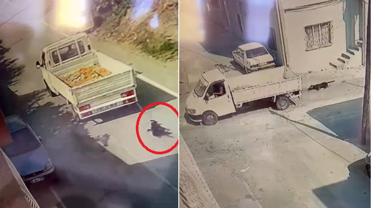 Vicdanları sızlatan olay: Köpeği kamyonetin arkasına bağlayıp, kilometrelerce sürükledi
