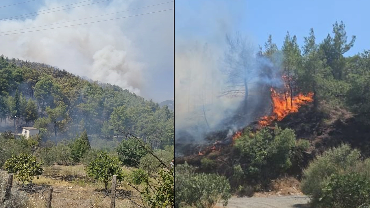 İki ilde orman yangını: Alevlere müdahale ediliyor