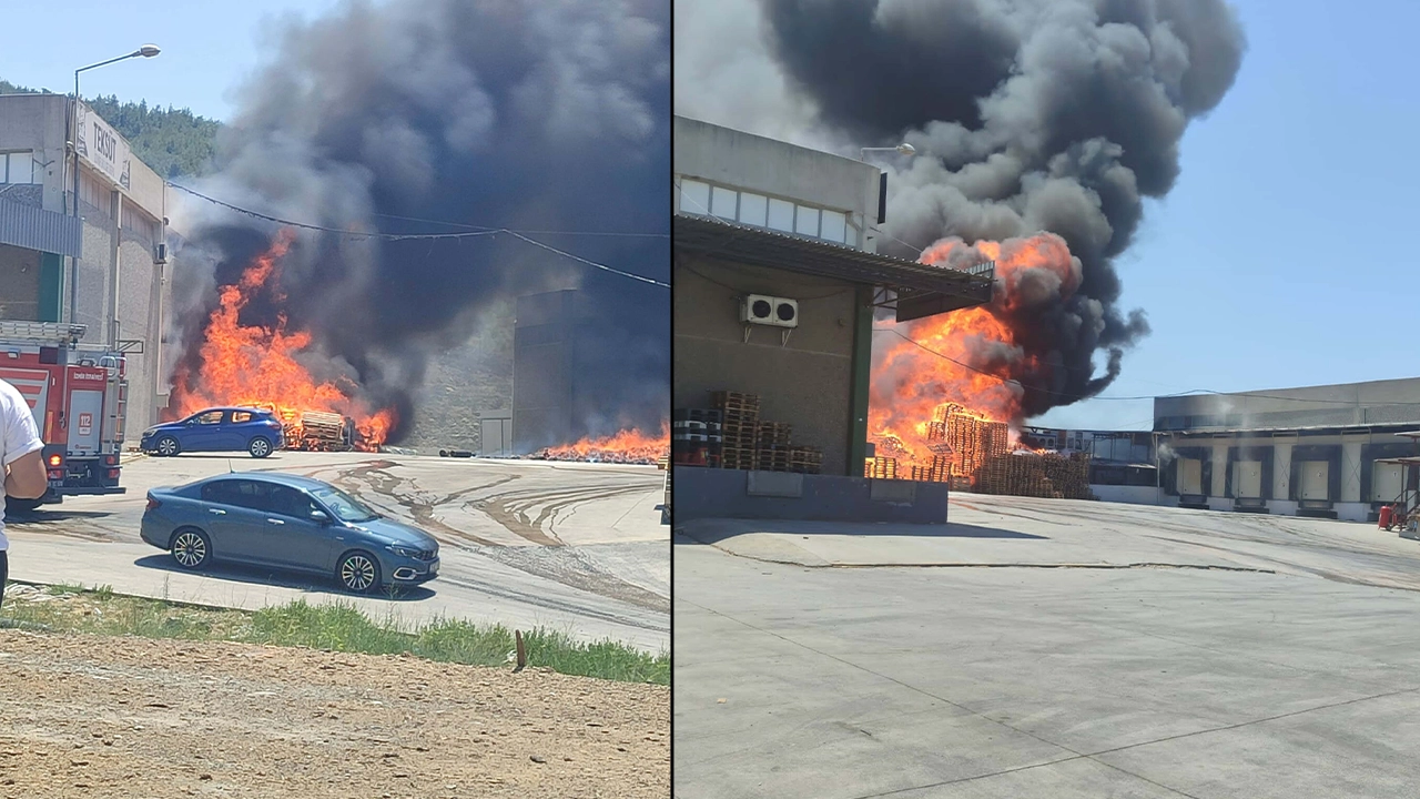 Palet fabrikasında büyük yangın: Alevler 2 işletmeye sıçradı, 5 araç kullanılamaz halde