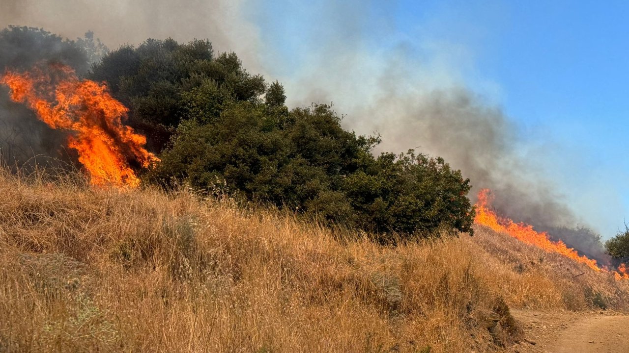 Balıkesir Erdek'te orman yangını