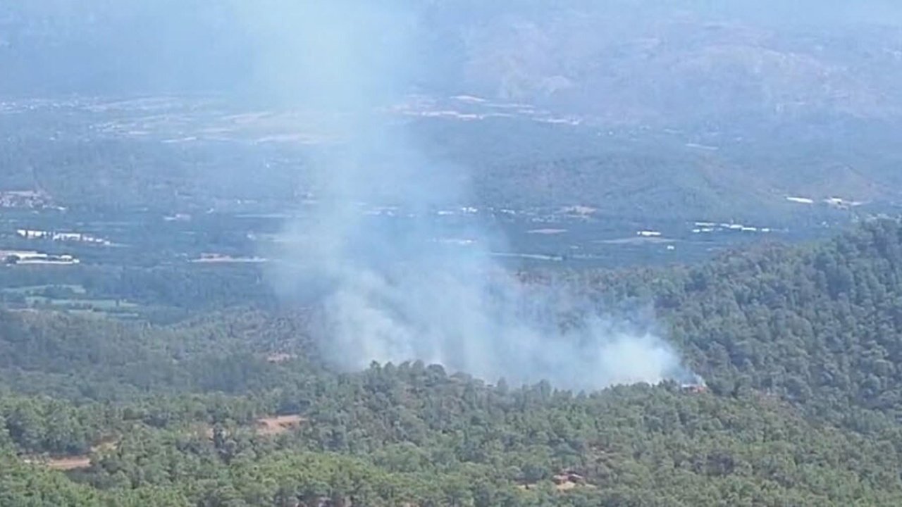 Muğla'da orman yangını: Alevlere havadan ve karadan müdahale ediliyor