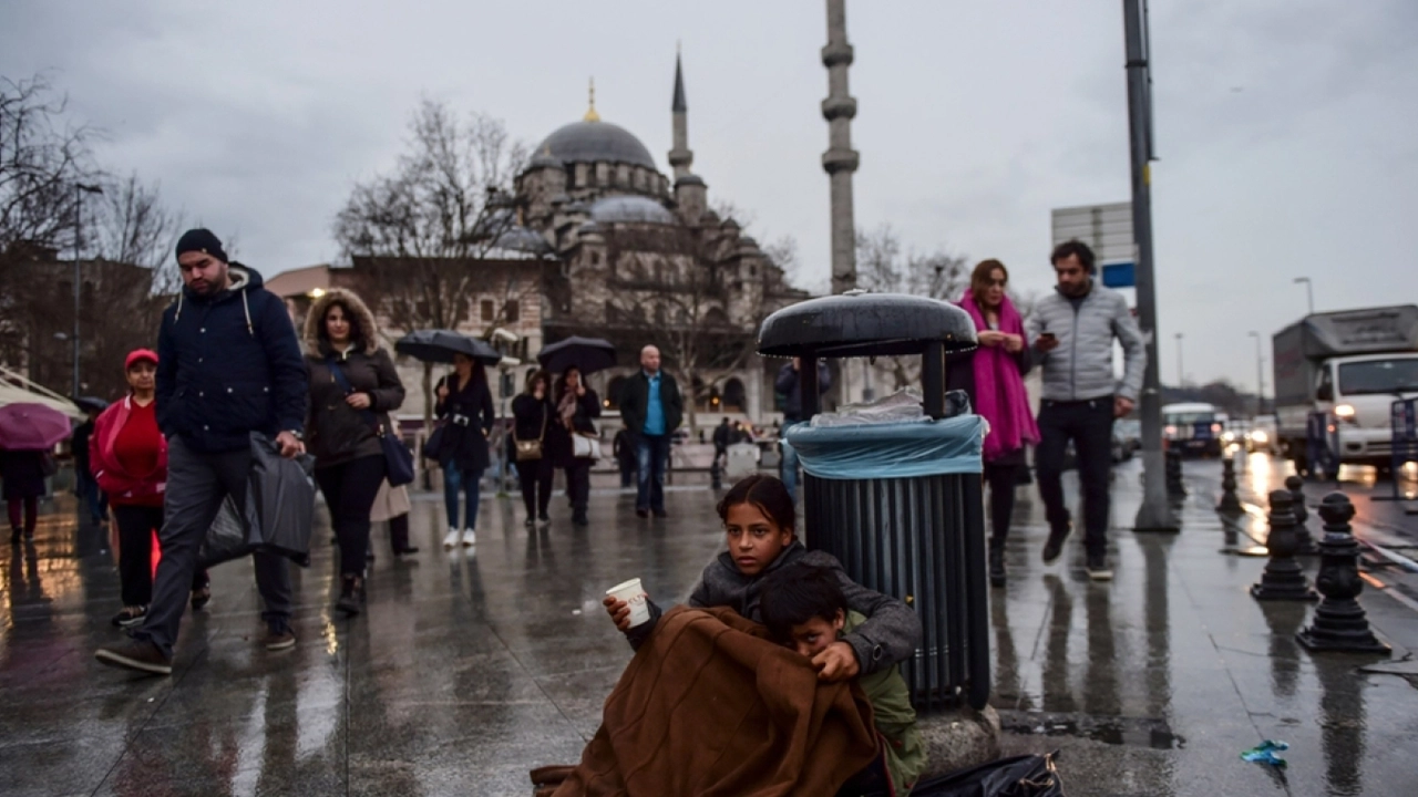 Sadece soğanı alayım (2)