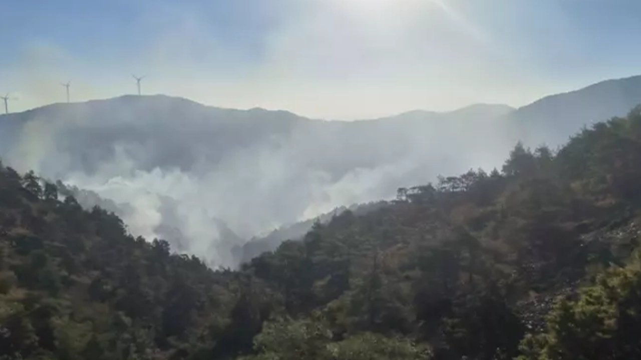 Hatay'da orman yangını: Ekipler müdahale ediyor