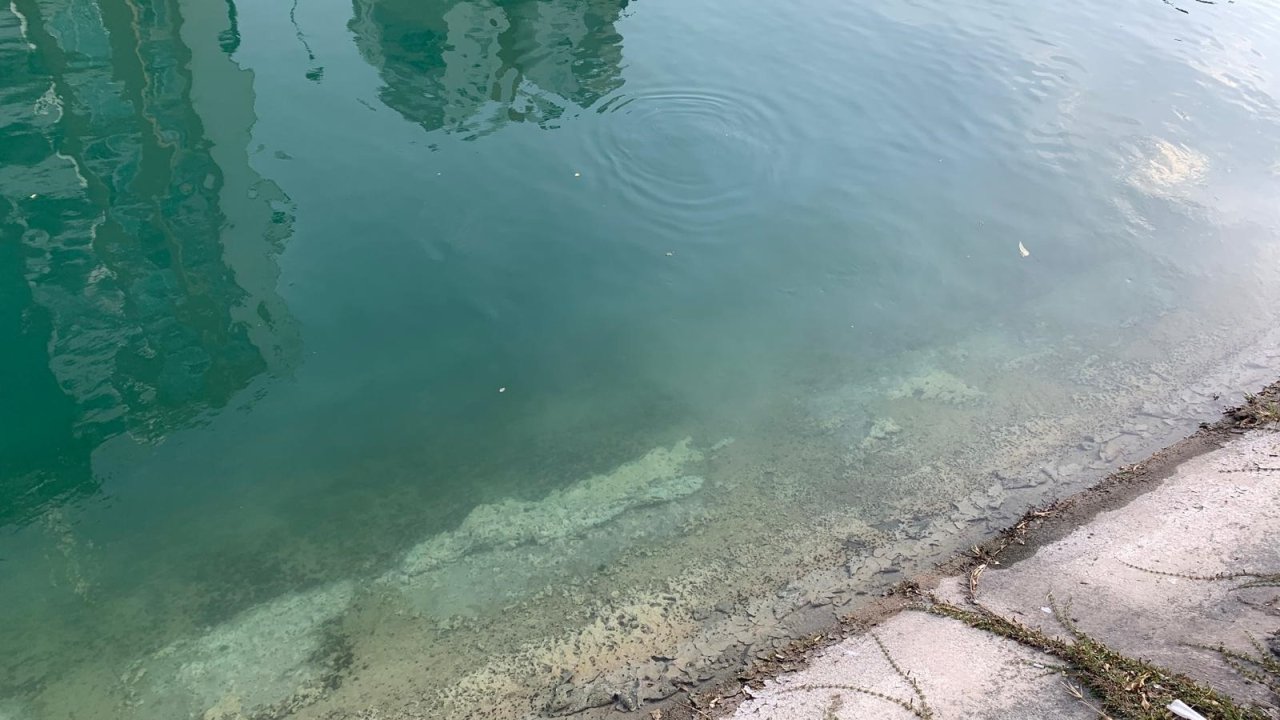 Serinlemek için sulama kanalına girdiler: 3 arkadaştan 1'i boğuldu