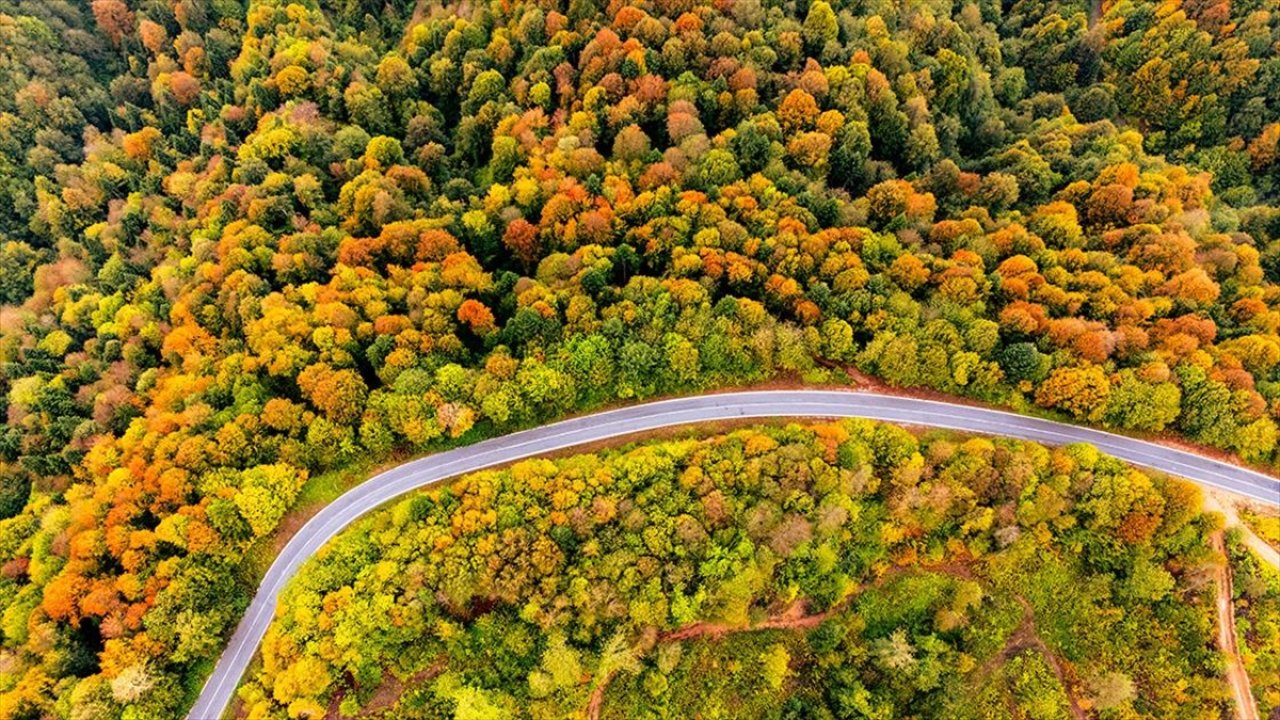 Çam Dağı'nda sonbaharın renkleri kendini gösterdi