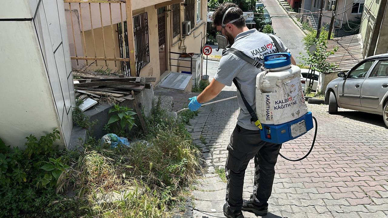 Kağıthane’de haşere ve sinek türlerine karşı ilaçlama