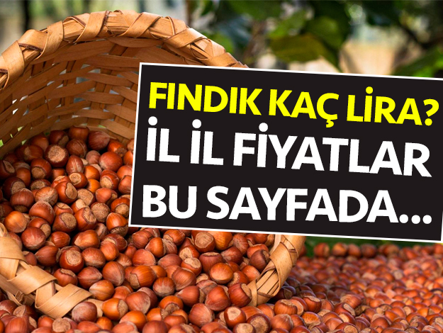 29 Mayıs 2019 Çarşamba Fındık Fiyatları - Fındık kaç lira