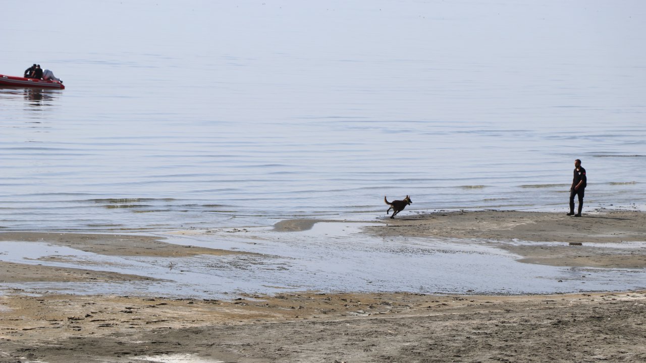 Rojin'i arama çalışmalarında kadavra köpekleri de devreye girecek