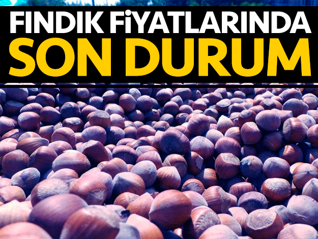 10 Eylül Salı güncel fındık fiyatları! Fındık kaç lira?