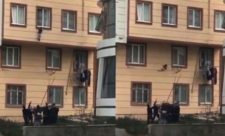 İstanbul'da inanılmaz olay! Pencereden düşen çocuğu havada yakaladılar