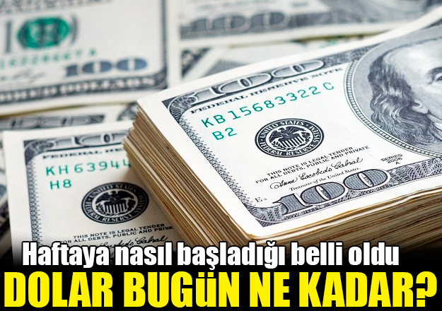 Dolar haftaya yükselişle başladı