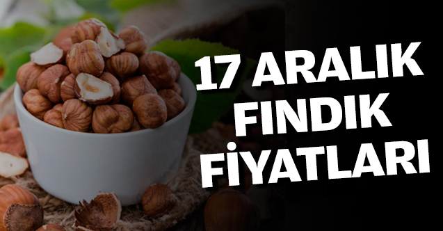 Fındık kaç lira? 17 Aralık Salı fındık fiyatları