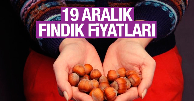 Fındık kaç lira? 19 Aralık Perşembe fındık fiyatları