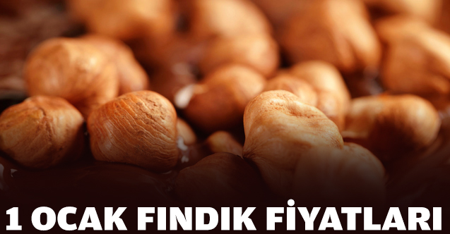 Fındık kaç lira? 1 Ocak Çarşamba fındık fiyatları