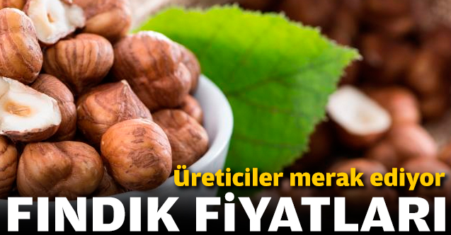 Fındık kaç lira? 3 Ocak Cuma fındık fiyatları