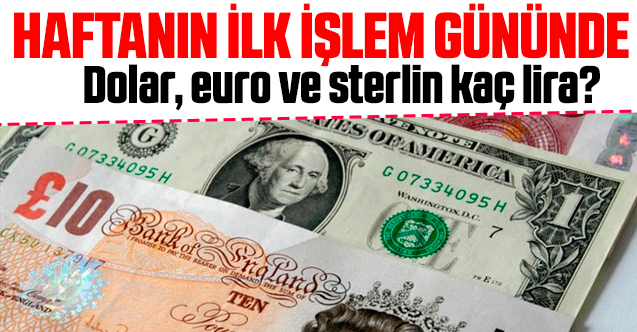 24 Şubat Pazartesi dolar ve euro kaç lira? Alış ve satış fiyatları