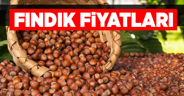 11 Nisan Cumartesi fındık borsası | Fındık kaç lira? Fındık fiyatları