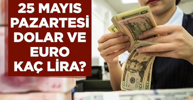 25 Mayıs Pazartesi dolar ve euro kaç lira? Alış ve satış fiyatları...