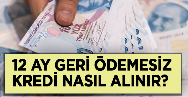 12 ay geri ödemesiz kredi nasıl alınır| Kamu bankalarının kredi destek paketleri başvurusu nasıl yapılıyor?