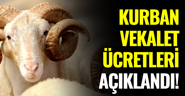 2020 Kurban vekaleti ücreti belli oldu