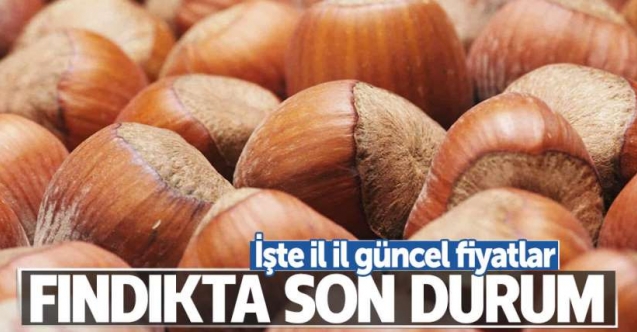 4 Temmuz Cumartesi fındık kaç lira? | Güncel fındık fiyatları