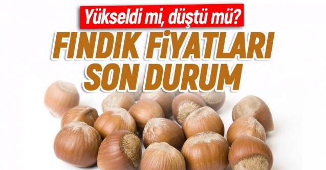 10 Ağustos Pazartesi fındık kaç lira? | Son dakika fındık fiyatları