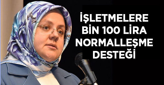 Bakan Selçuk'tan "Normalleşme Desteği" açıklaması