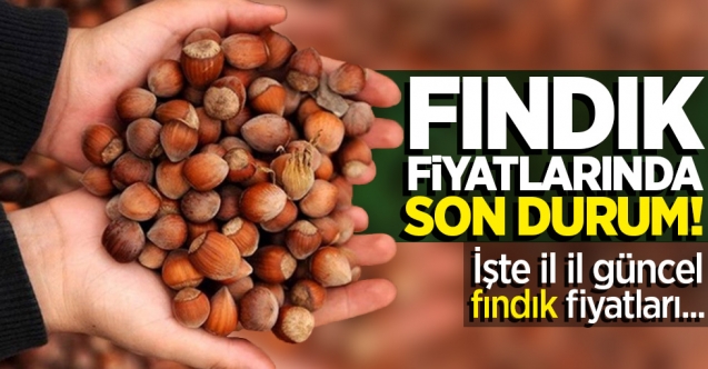 30 Ağustos Pazar fındık kaç lira? | Son dakika fındık fiyatları