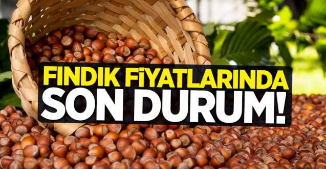 31 Ağustos Pazartesi fındık kaç lira? | Son dakika fındık fiyatları