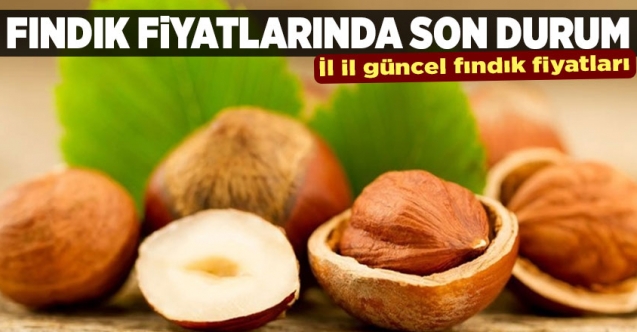 6 Ekim Salı fındık kaç lira? | Son dakika fındık fiyatları