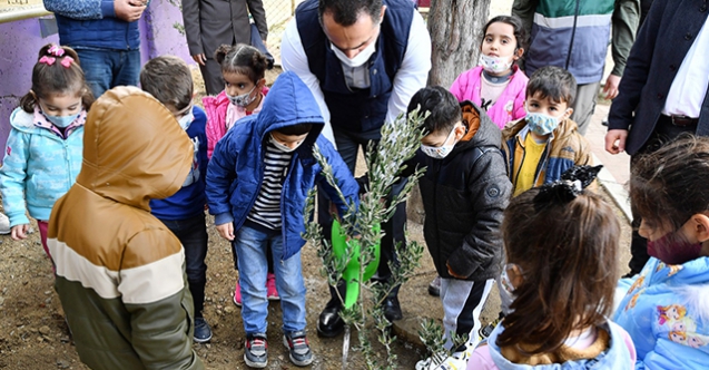 Beyoğlu’nda zeytin ağacı dikme kampanyası başlatıldı