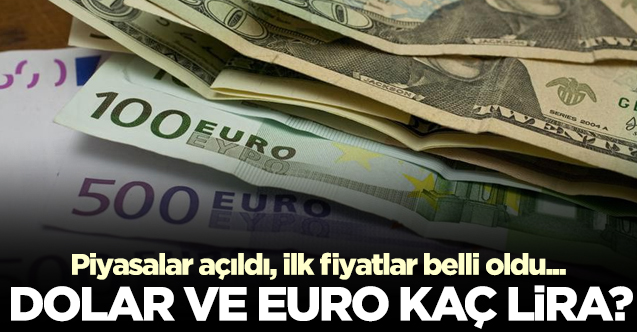 16 Kasım Pazartesi dolar ve euro kaç lira? Döviz alış ve satış fiyatları