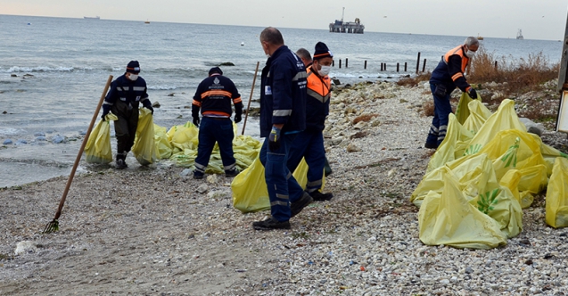 İBB, Avcılar sahilinden 10 ton denizanası topladı