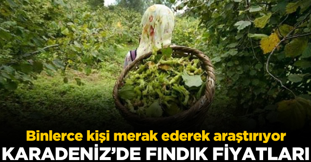 Fındık fiyatları ne kadar? 08 Aralık Salı il il güncel fındık fiyatları - Fındık Fiyatları haber