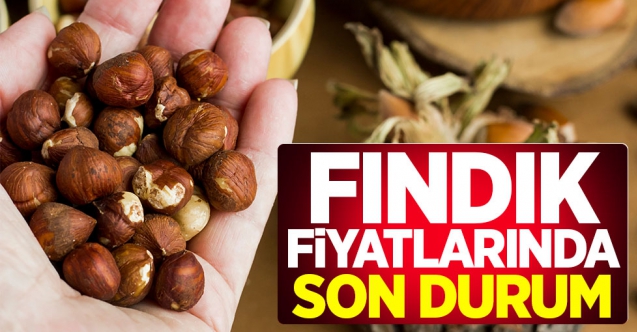 3 Ocak Pazar  güncel fındık fiyatları | Fındık kaç lira?