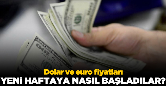 Dolar ve euro kaç lira? 18 Ocak Pazartesi döviz fiyatları