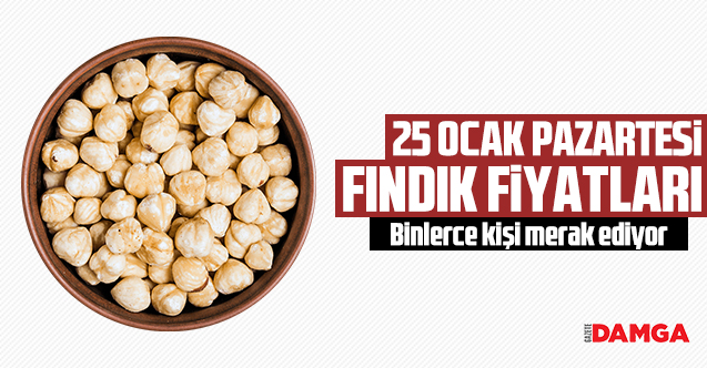 25 Ocak 2021 Pazartesi fındık fiyatları | Fındık kaç lira?