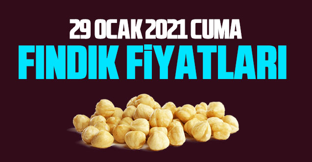 29 Ocak Cuma fındık fiyatları | Fındık kaç lira?