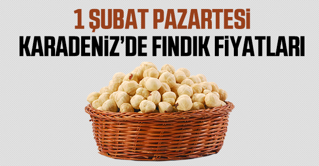 1 Şubat Pazartesi fındık fiyatları | Fındık kaç lira?