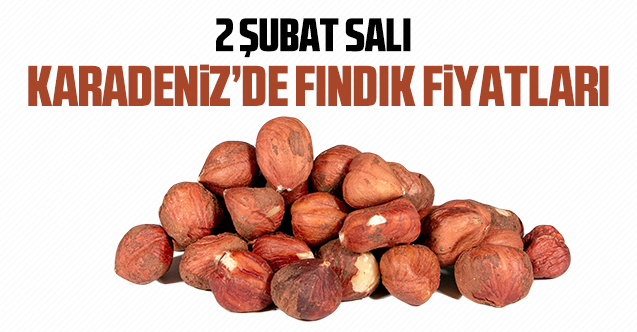 2 Şubat Salı fındık fiyatları | Fındık kaç lira?