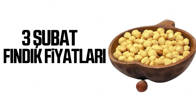 3 Şubat Çarşamba fındık fiyatları | Fındık kaç lira?