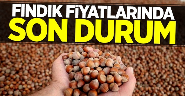 Fındığın kilosu kaç lira? İşte 5 Şubat Cuma güncel fındık fiyatları