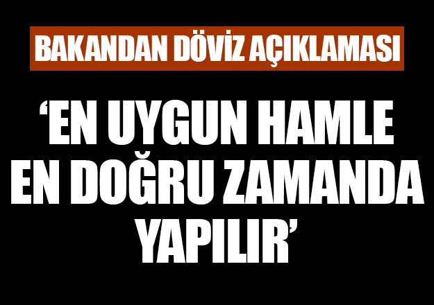 Bakan Zeybekci'den döviz açıklaması