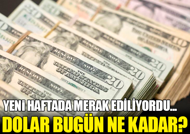 Yeni haftada dolar ve euro nasıl başladı? 28 Mayıs alış ve satış fiyatları