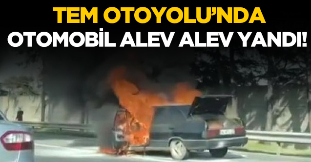 TEM Otoyolu'nda otomobil alev alev yandı!