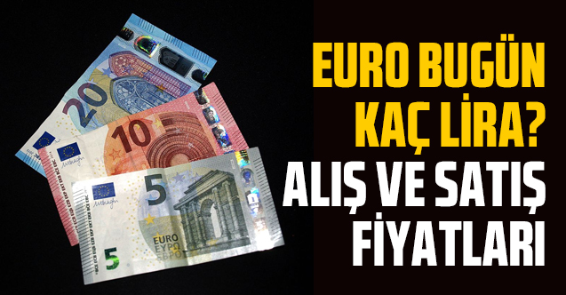 23 Mart Salı Euro kaç lira? Euro alış ve satış fiyatları