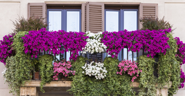 En güzel çiçekli balkon hangisi?
