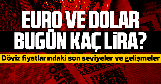 17 Haziran 2021 Perşembe dolar ve euro fiyatları! Dolar/TL kaç lira? Euro/Tl kaç lira?