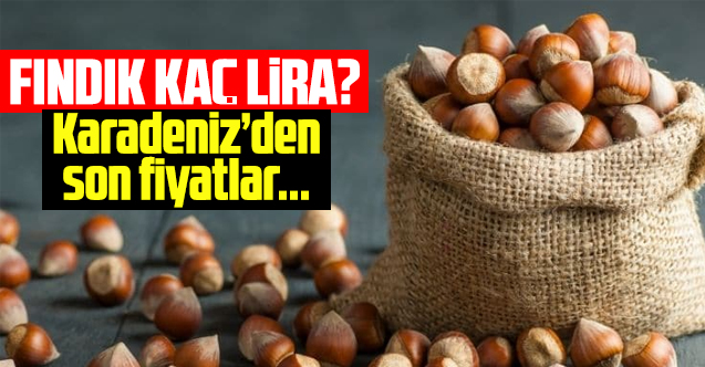 26 Ağustos 2021 Perşembe fındık fiyatları | Fındık kaç lira?