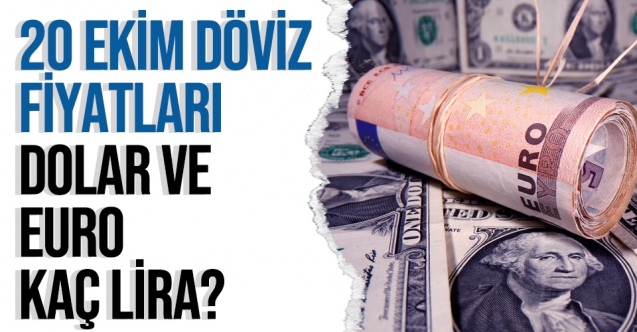 20 Ekin 2021 Çarşamba dolar ve euro kaç lira? Dolar ve euro fiyatları